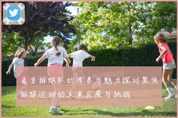 南京排球队的节奏与魅力探讨聚焦排球运动的未来发展与挑战