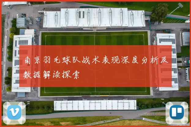 南京羽毛球队战术表现深度分析及数据解读探索