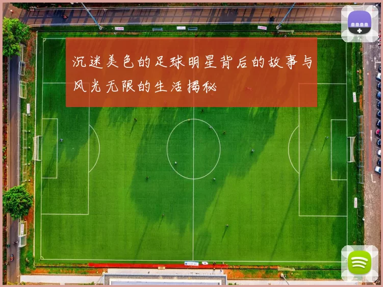 沉迷美色的足球明星背后的故事与风光无限的生活揭秘
