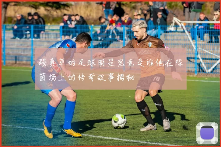踢真草的足球明星究竟是谁他在绿茵场上的传奇故事揭秘