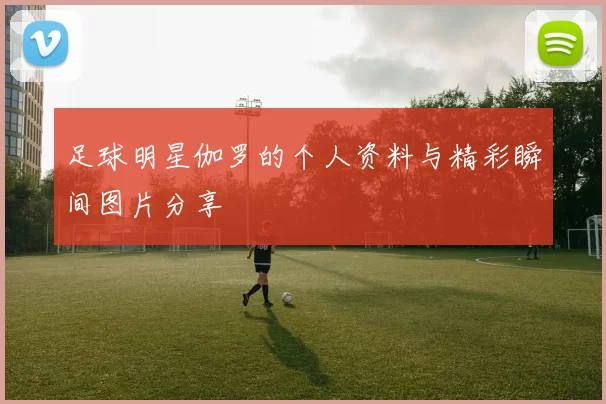 足球明星伽罗的个人资料与精彩瞬间图片分享