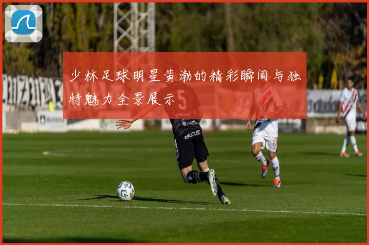 少林足球明星黄渤的精彩瞬间与独特魅力全景展示