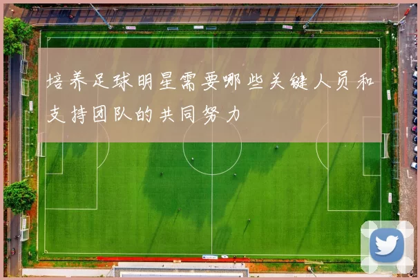 培养足球明星需要哪些关键人员和支持团队的共同努力