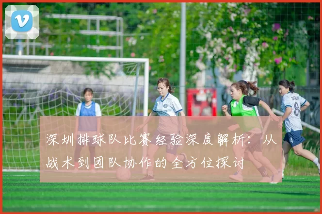 深圳排球队比赛经验深度解析：从战术到团队协作的全方位探讨