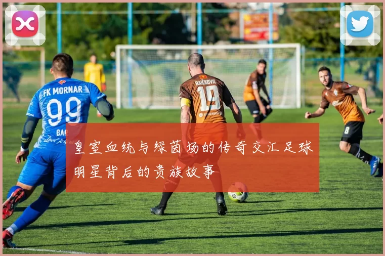 皇室血统与绿茵场的传奇交汇足球明星背后的贵族故事