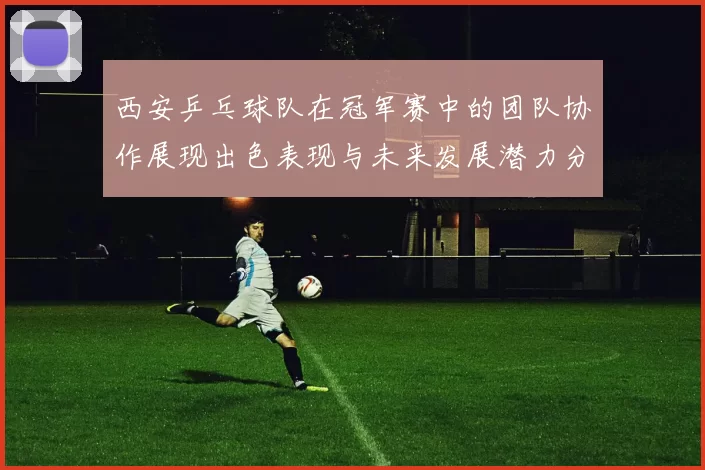 西安乒乓球队在冠军赛中的团队协作展现出色表现与未来发展潜力分析