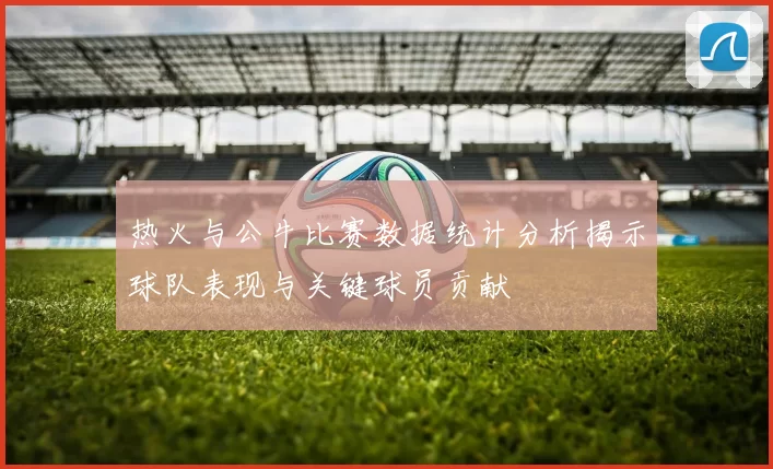 热火与公牛比赛数据统计分析揭示球队表现与关键球员贡献