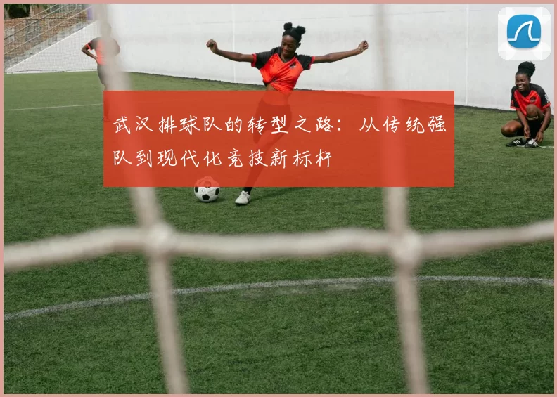 武汉排球队的转型之路：从传统强队到现代化竞技新标杆