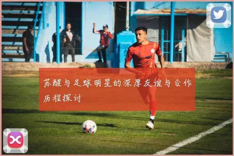 苏醒与足球明星的深厚友谊与合作历程探讨